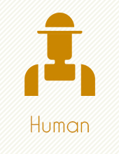 human